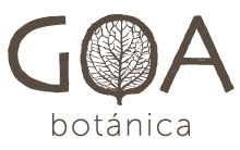 goa-logo-cafe